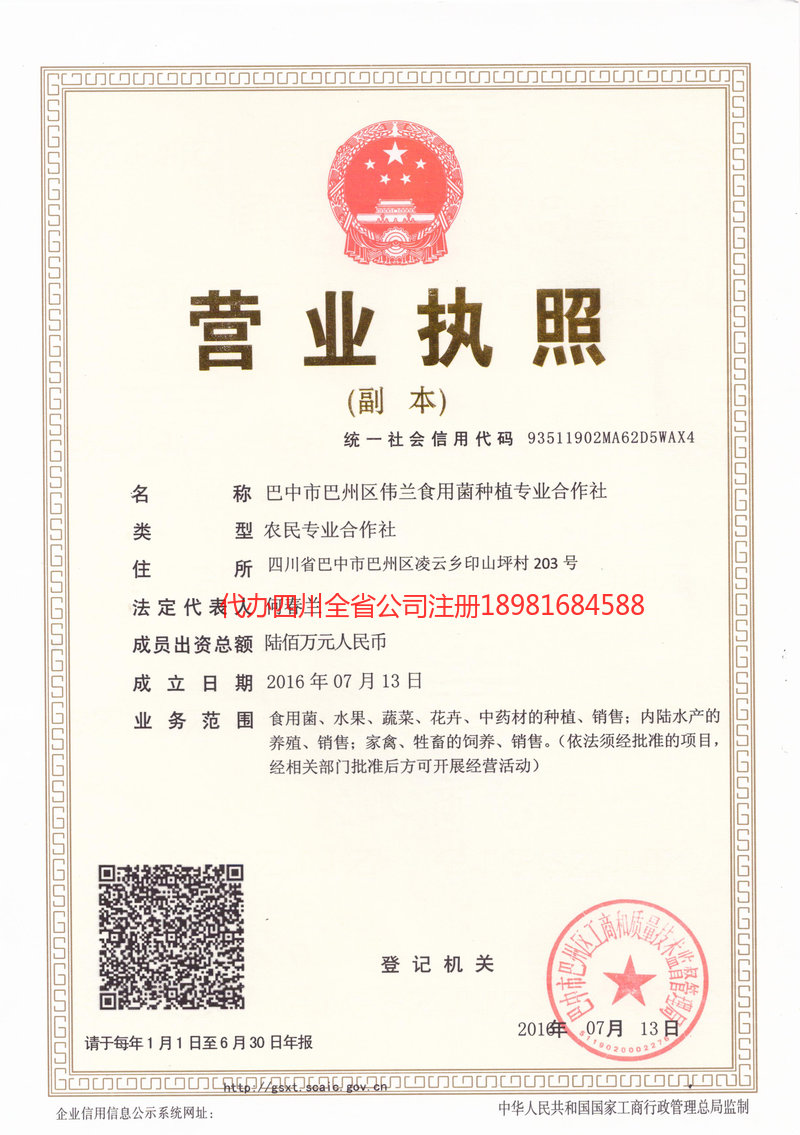 日照日照伟兰食用菌种植专业合作社